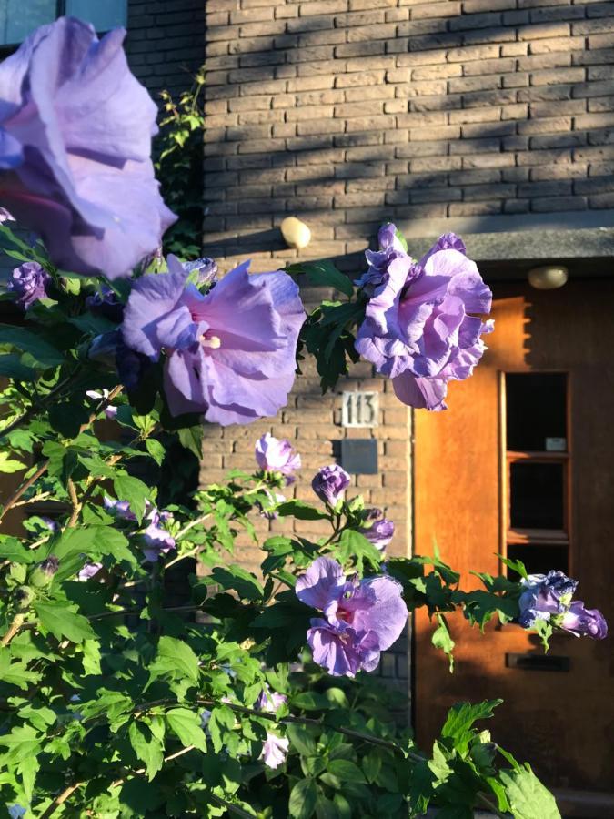 איינדהובן Eikenburg B&B מראה חיצוני תמונה