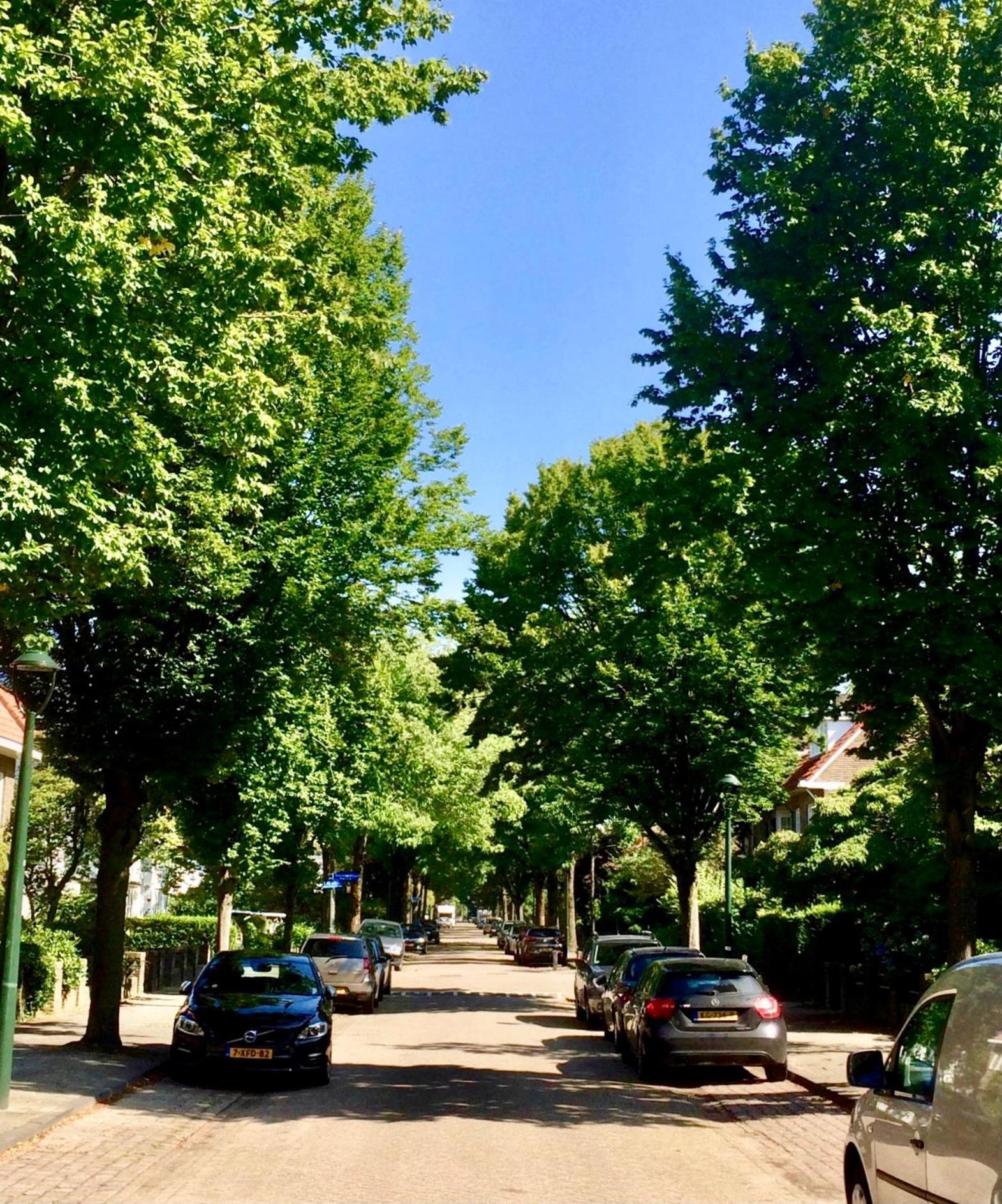 איינדהובן Eikenburg B&B מראה חיצוני תמונה
